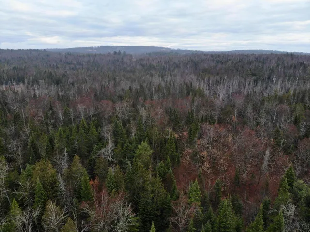 $210,000 | Map5-lot1 Silvers Mills Road, Sangerville, ME 04479