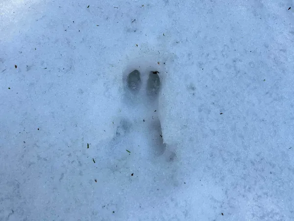 $210,000 | Map5-lot1 Silvers Mills Road, Sangerville, ME 04479