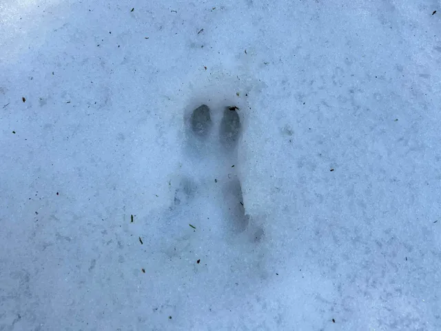 $210,000 | Map5-lot1 Silvers Mills Road, Sangerville, ME 04479