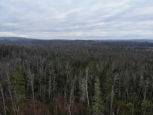 $210,000 | Map5-lot1 Silvers Mills Road, Sangerville, ME 04479