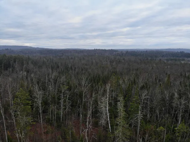 $210,000 | Map5-lot1 Silvers Mills Road, Sangerville, ME 04479