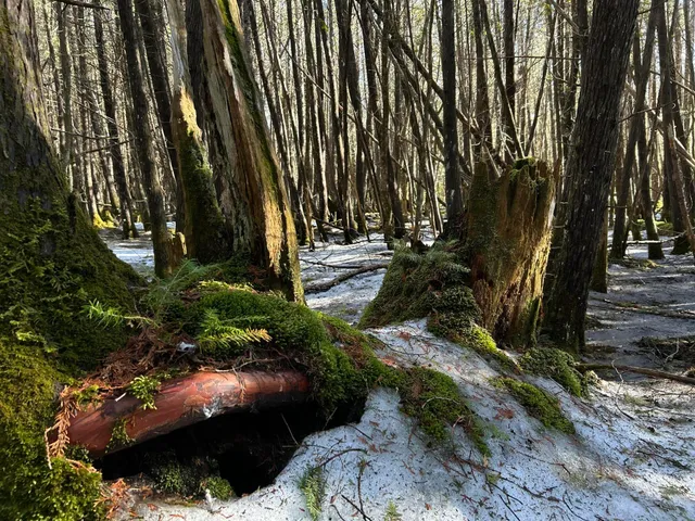 $210,000 | Map5-lot1 Silvers Mills Road, Sangerville, ME 04479