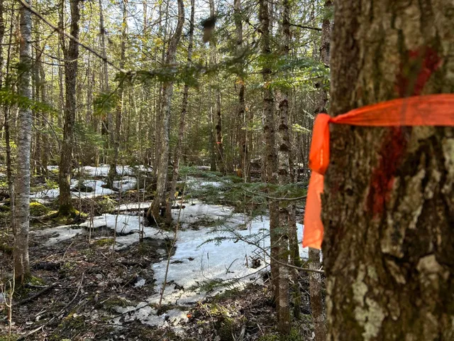 $210,000 | Map5-lot1 Silvers Mills Road, Sangerville, ME 04479