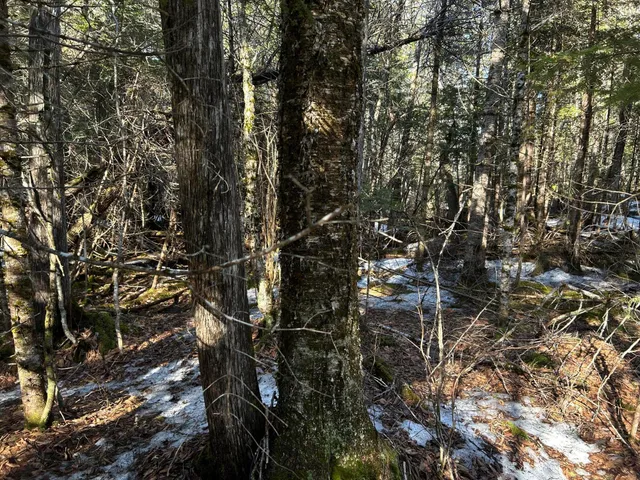 $210,000 | Map5-lot1 Silvers Mills Road, Sangerville, ME 04479