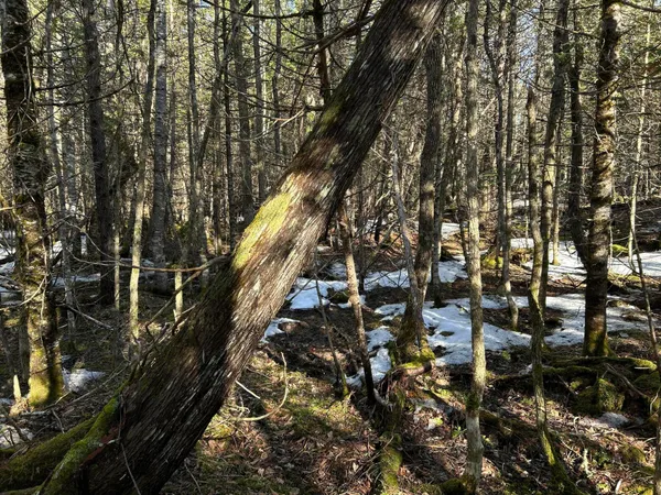 $210,000 | Map5-lot1 Silvers Mills Road, Sangerville, ME 04479