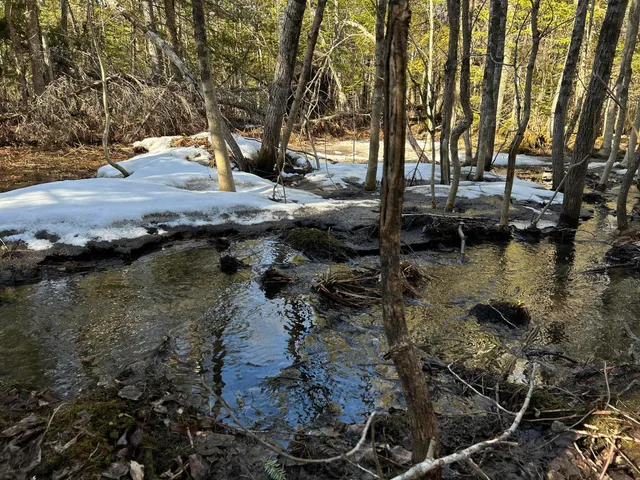 $210,000 | Map5-lot1 Silvers Mills Road, Sangerville, ME 04479