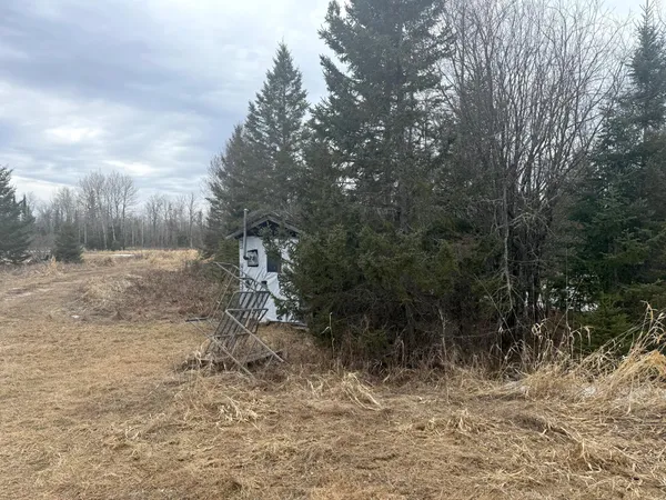 $176,000 | Three Bridges Road, Cook, MN 55723