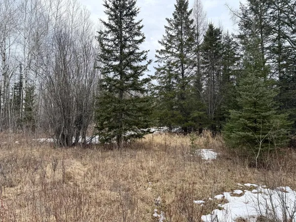 $176,000 | Three Bridges Road, Cook, MN 55723