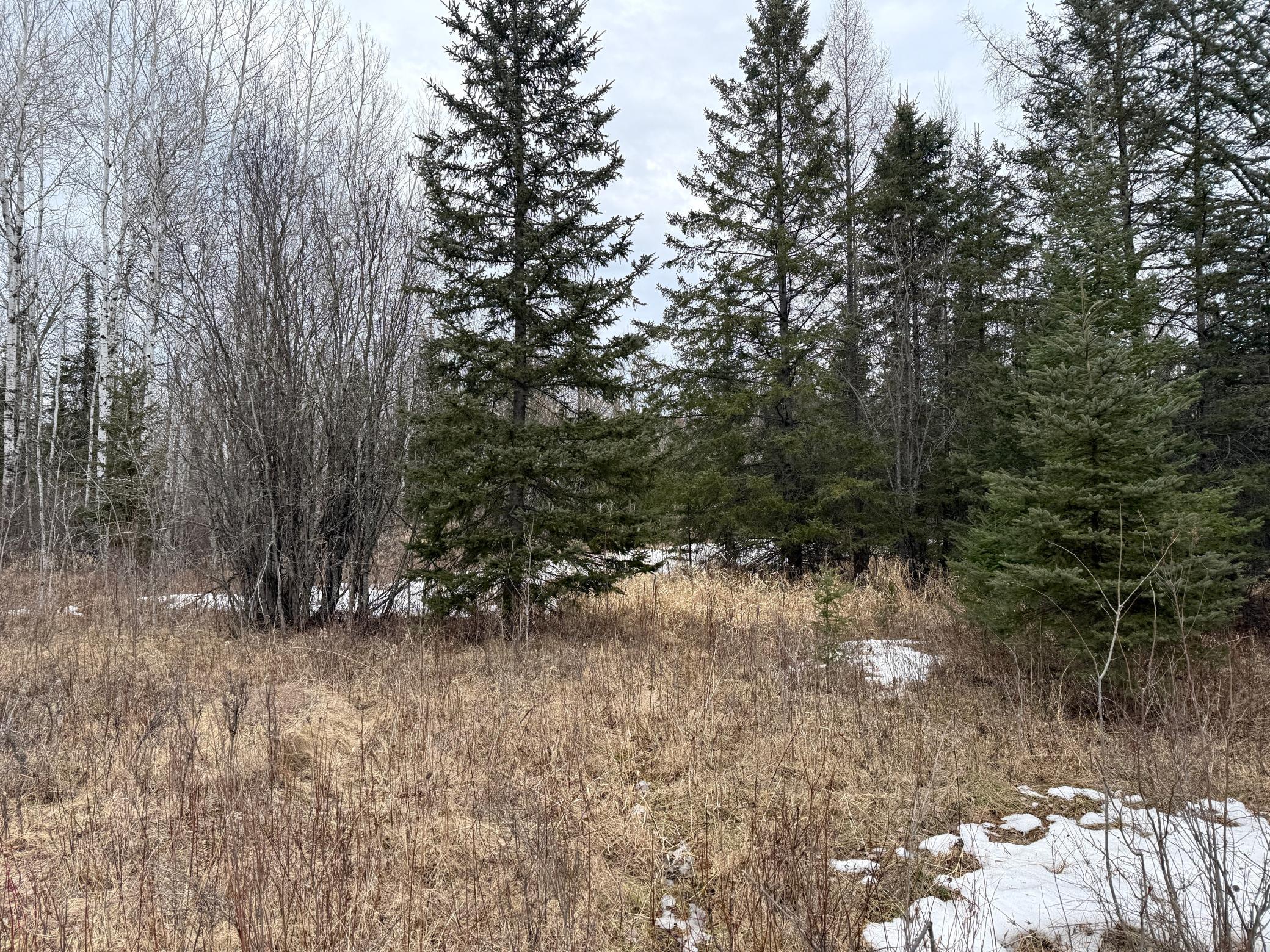 Three Bridges Road Cook, MN 55723 - Photo 24 of 48