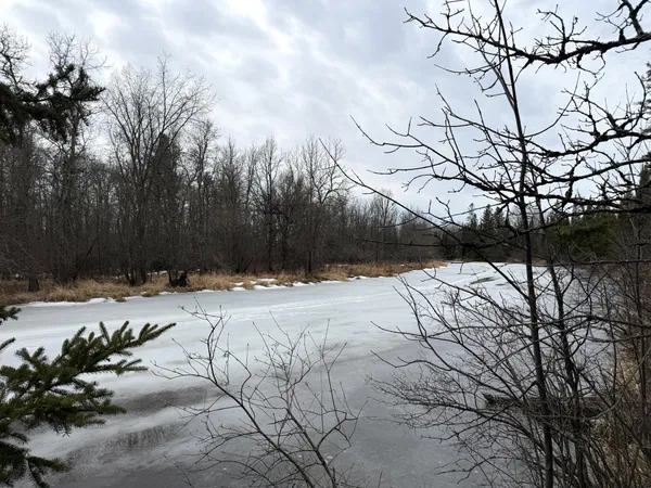 $176,000 | Three Bridges Road, Cook, MN 55723