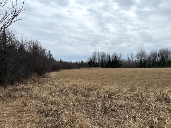 $176,000 | Three Bridges Road, Cook, MN 55723