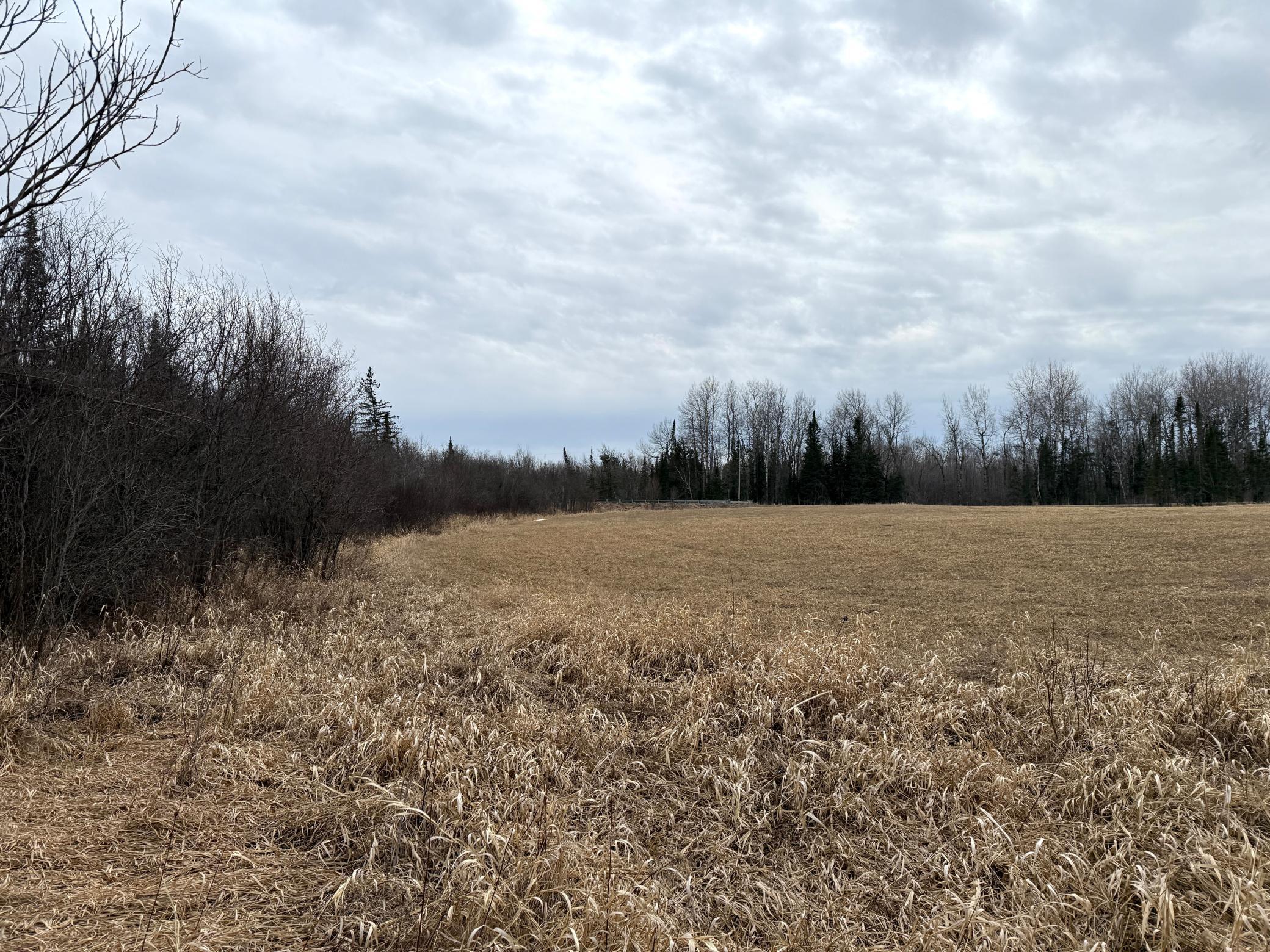 Three Bridges Road Cook, MN 55723 - Photo 28 of 48