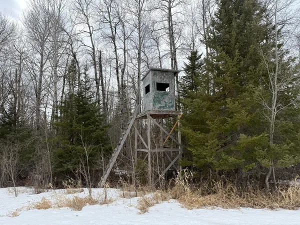 $176,000 | Three Bridges Road, Cook, MN 55723