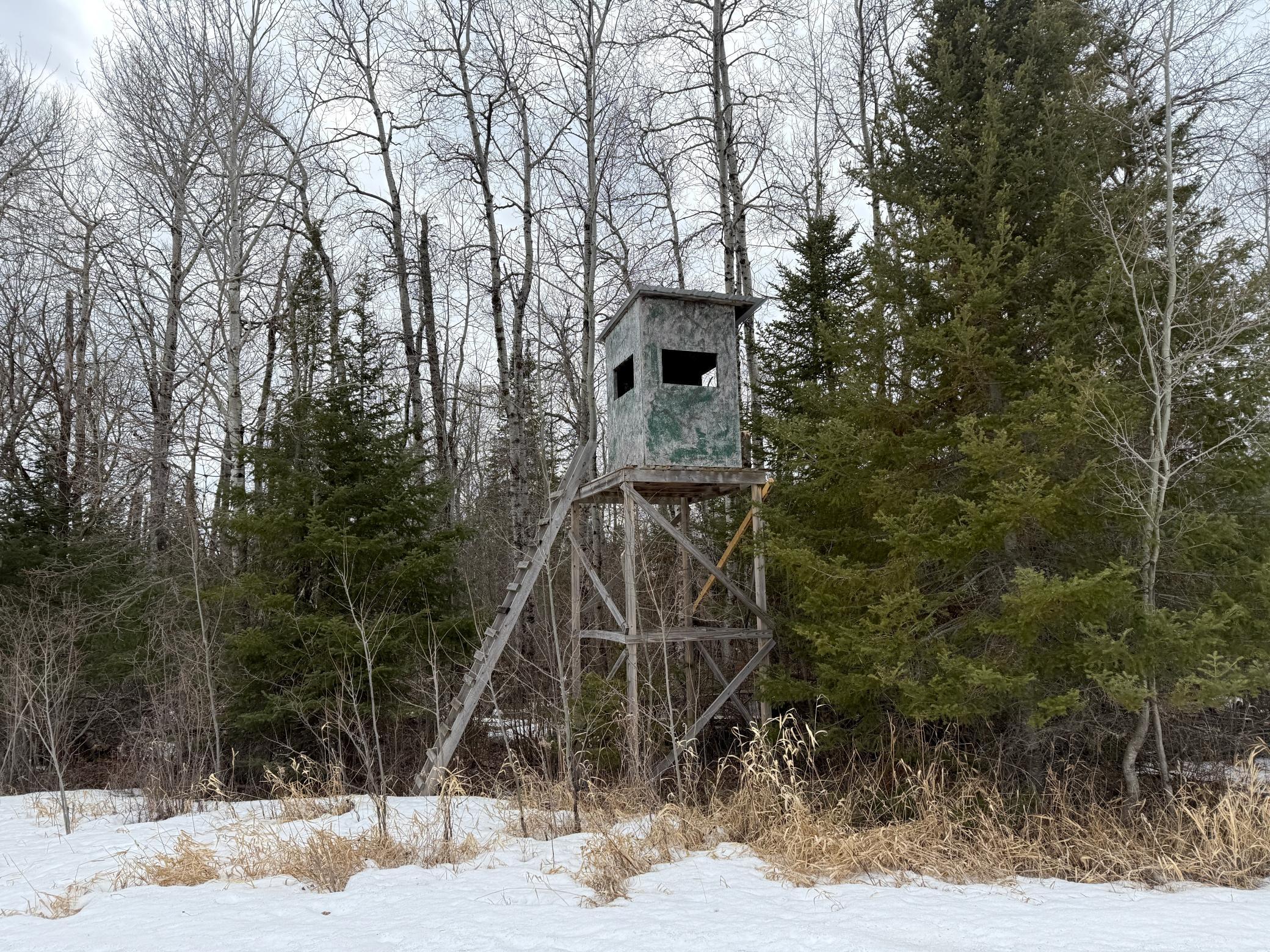 Three Bridges Road Cook, MN 55723 - Photo 29 of 48