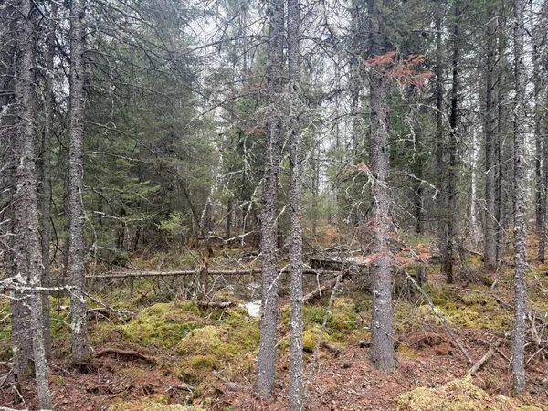 $176,000 | Three Bridges Road, Cook, MN 55723