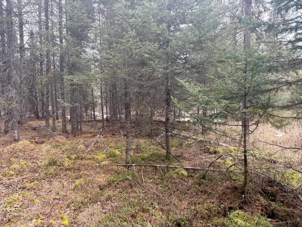 $176,000 | Three Bridges Road, Cook, MN 55723