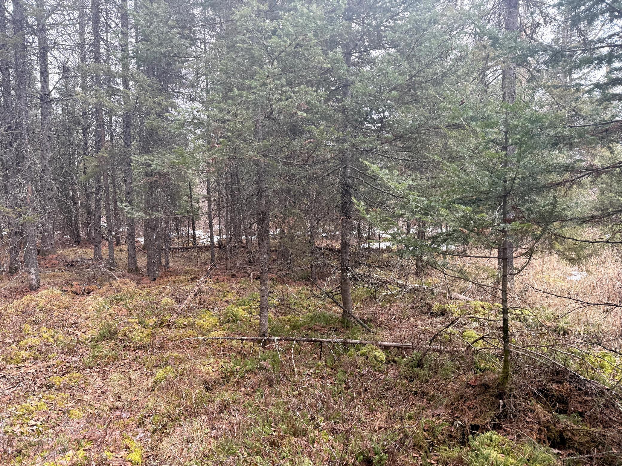 Three Bridges Road Cook, MN 55723 - Photo 31 of 48