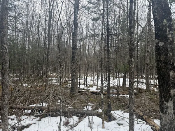 $176,000 | Three Bridges Road, Cook, MN 55723