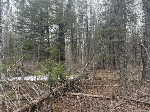 $176,000 | Three Bridges Road, Cook, MN 55723