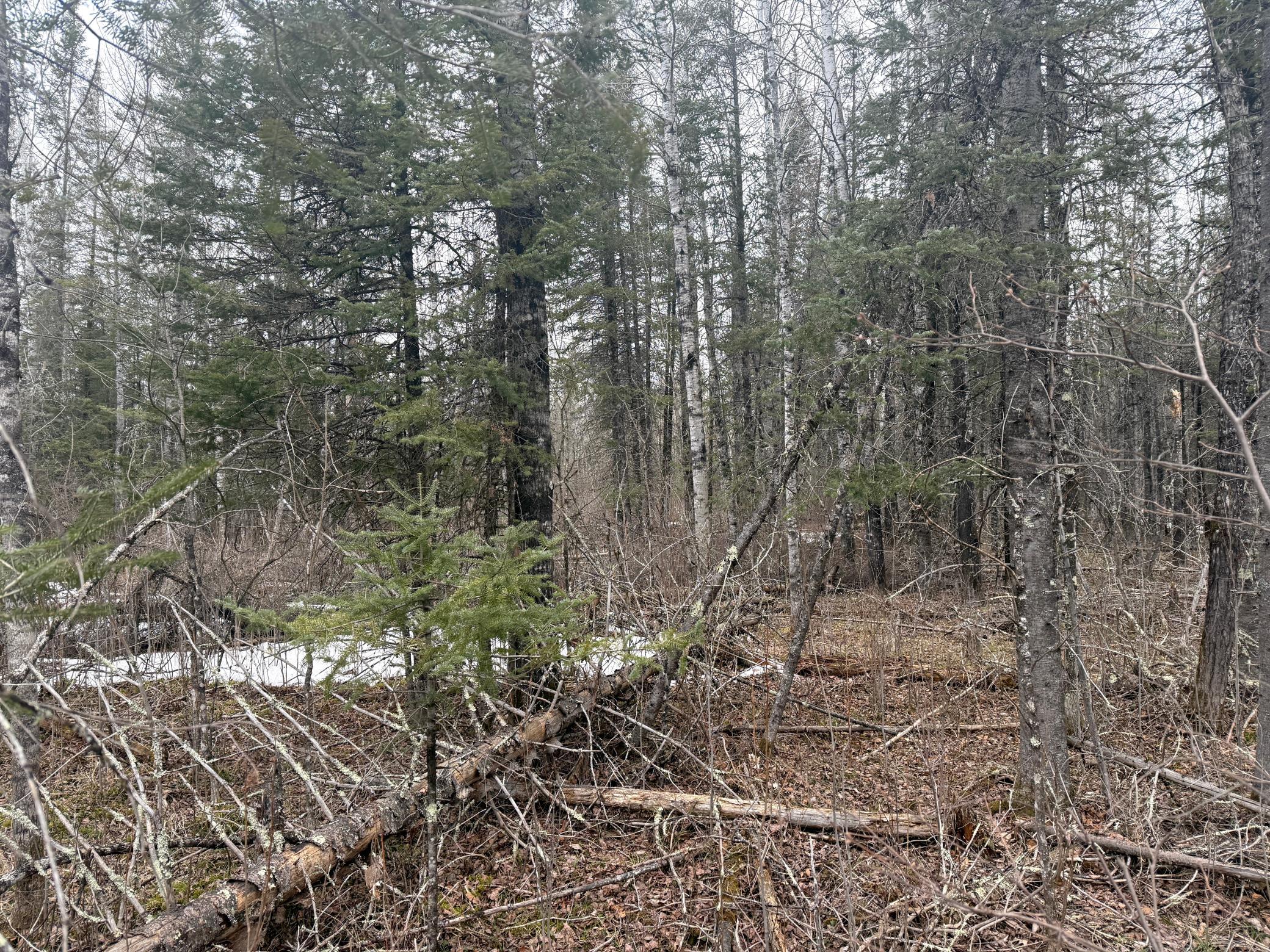 Three Bridges Road Cook, MN 55723 - Photo 33 of 48