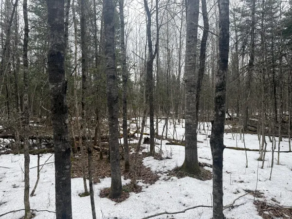 $176,000 | Three Bridges Road, Cook, MN 55723