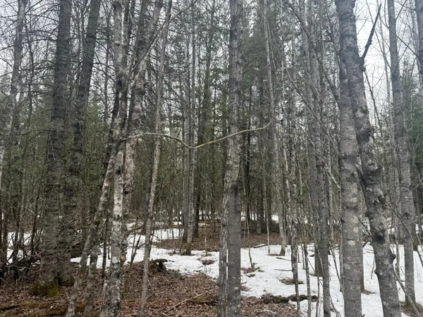 $176,000 | Three Bridges Road, Cook, MN 55723