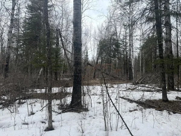 $176,000 | Three Bridges Road, Cook, MN 55723