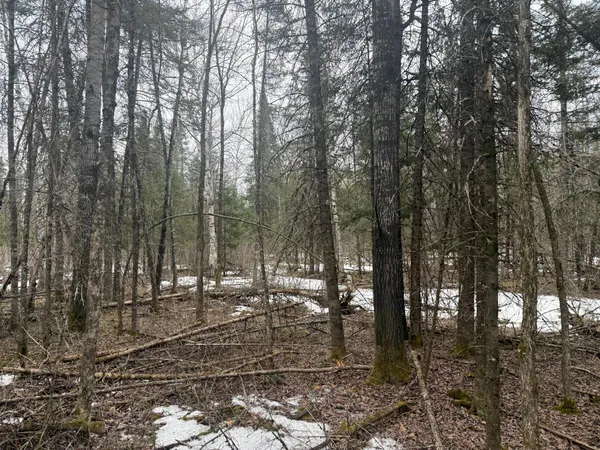 $176,000 | Three Bridges Road, Cook, MN 55723