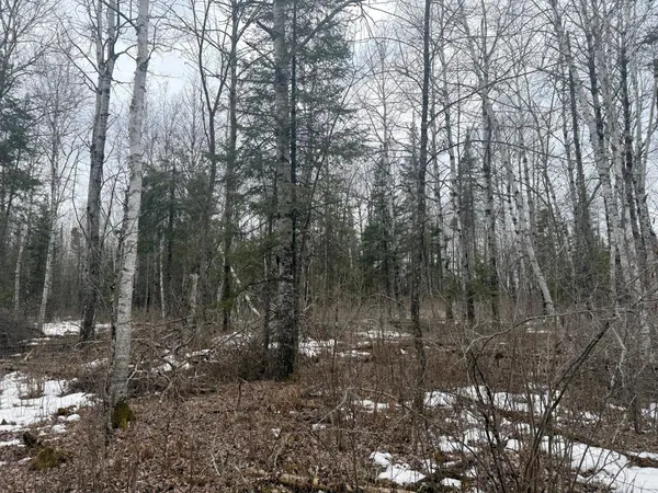 $176,000 | Three Bridges Road, Cook, MN 55723