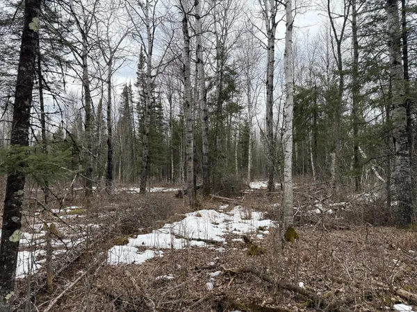 $176,000 | Three Bridges Road, Cook, MN 55723