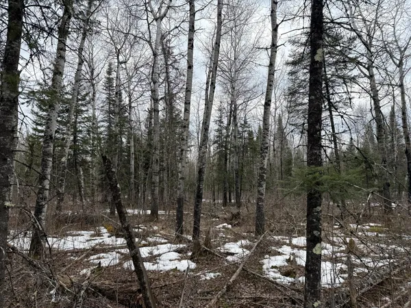 $176,000 | Three Bridges Road, Cook, MN 55723