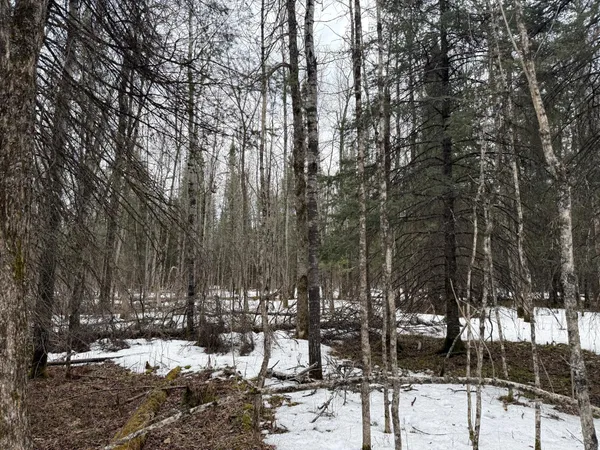 $176,000 | Three Bridges Road, Cook, MN 55723