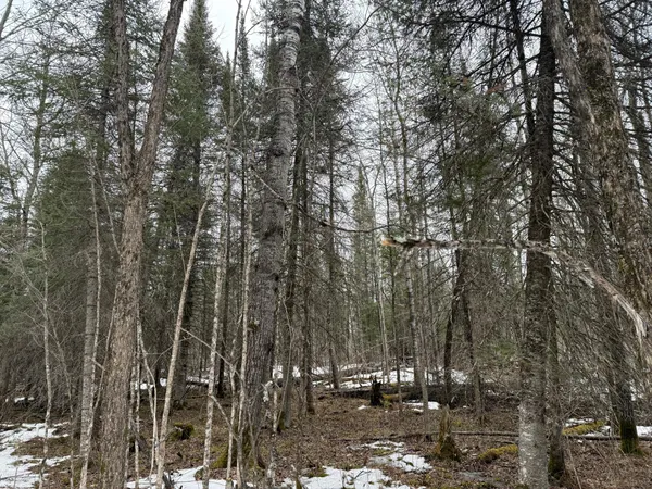 $176,000 | Three Bridges Road, Cook, MN 55723