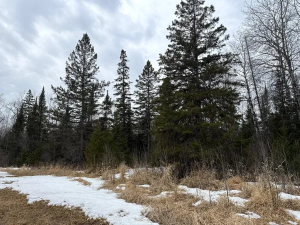 $176,000 | Three Bridges Road, Cook, MN 55723