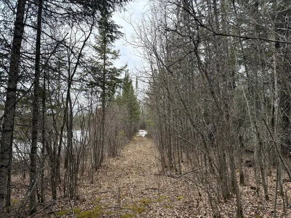 $176,000 | Three Bridges Road, Cook, MN 55723