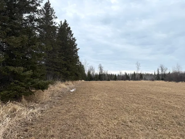 $176,000 | Three Bridges Road, Cook, MN 55723