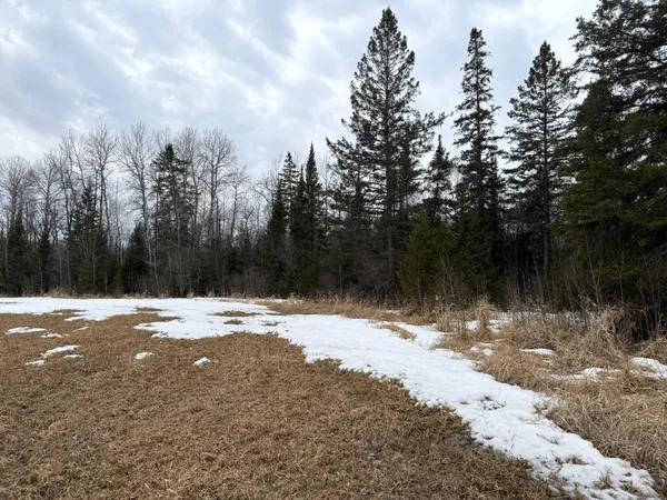 $176,000 | Three Bridges Road, Cook, MN 55723