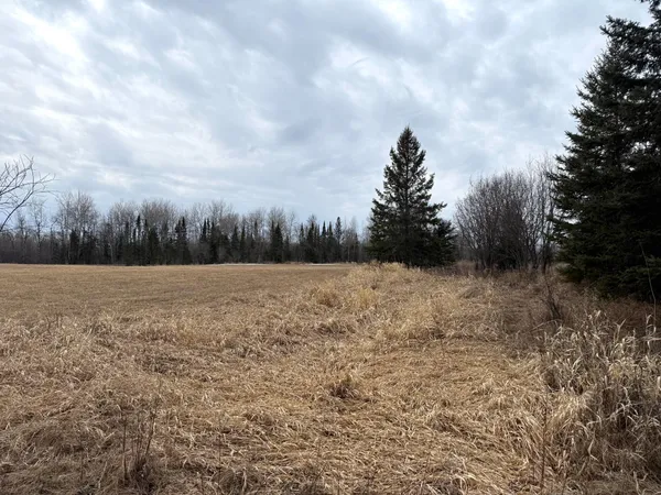 $176,000 | Three Bridges Road, Cook, MN 55723