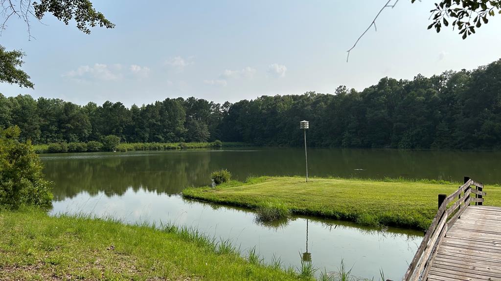 6836 North Co Road Midland City, AL 36350 - Photo 1 of 13