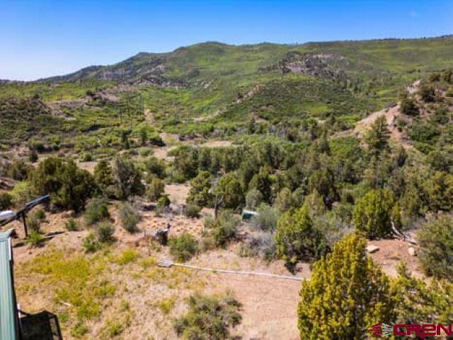 1350 Lion Road Durango, CO 81303 - Photo 9 of 34
