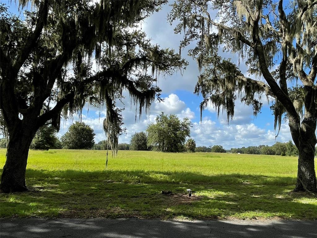 Tbd Southeast 116th Pl Road Ocala, FL 34480 - Photo 2 of 8 Gallery Image 2