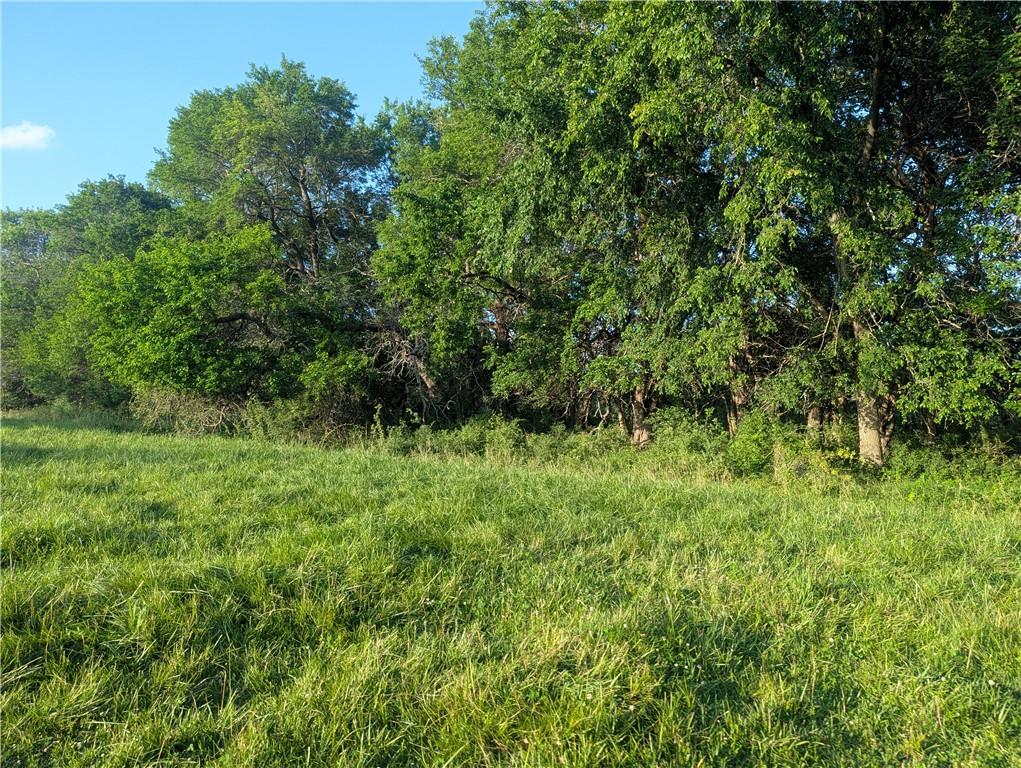 6426 Northeast Witt Road Turney, MO 64493 - Photo 51 of 54