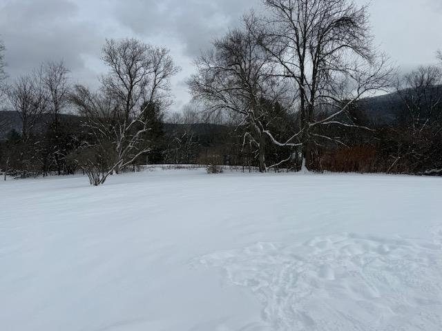 380 Stratton Road Rutland, VT 05701 - Photo 5 of 25