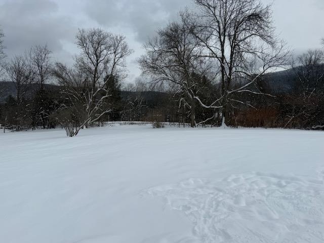 380 Stratton Road Rutland, VT 05701 - Photo 7 of 25