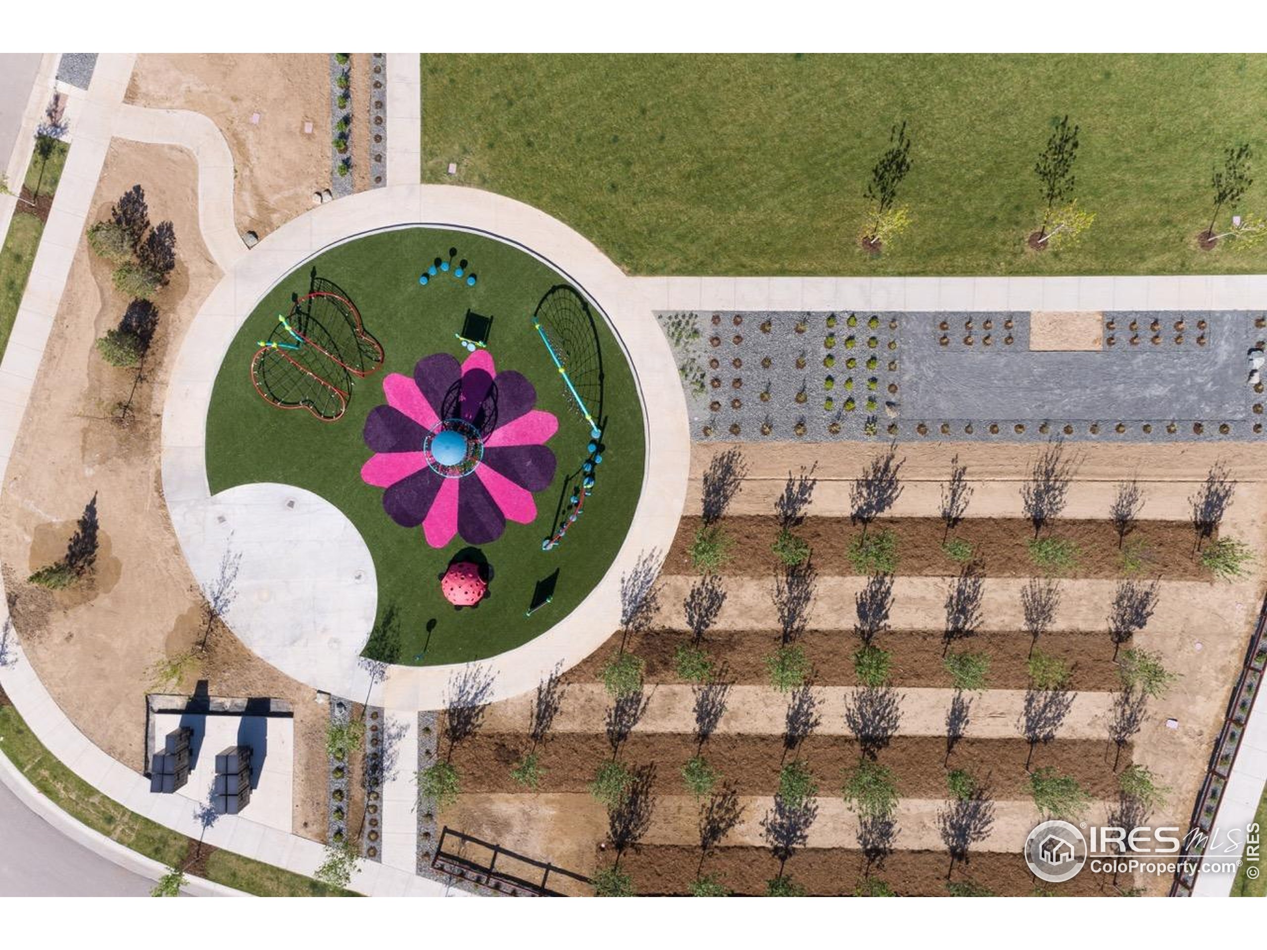 1889 Spring Bloom Drive Windsor, CO 80550 - Photo 31 of 32 a view of entryway
