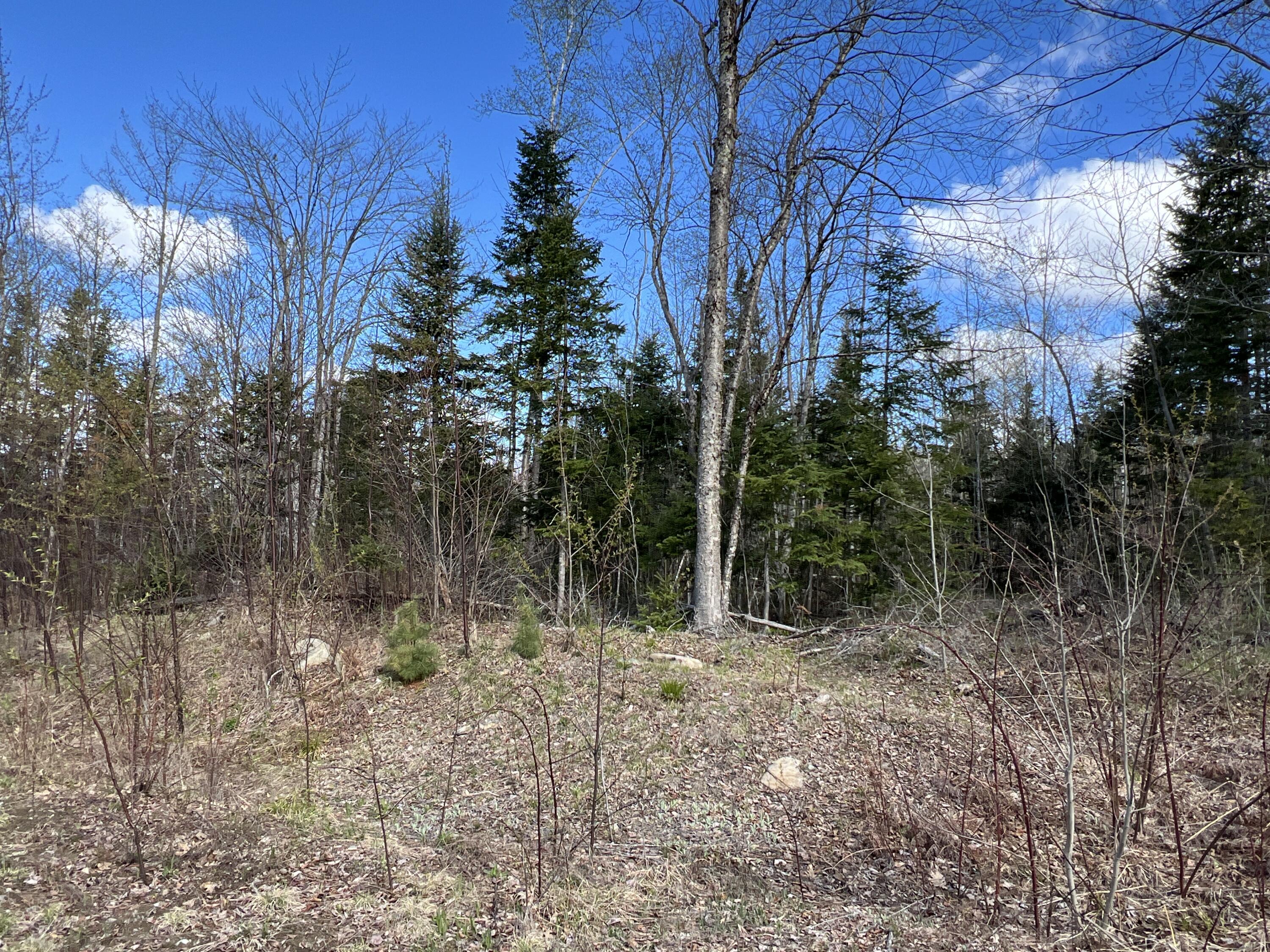 Lot 22 Schoodic Point Road Medford, ME 04463 - Photo 16 of 27 IMG_4181