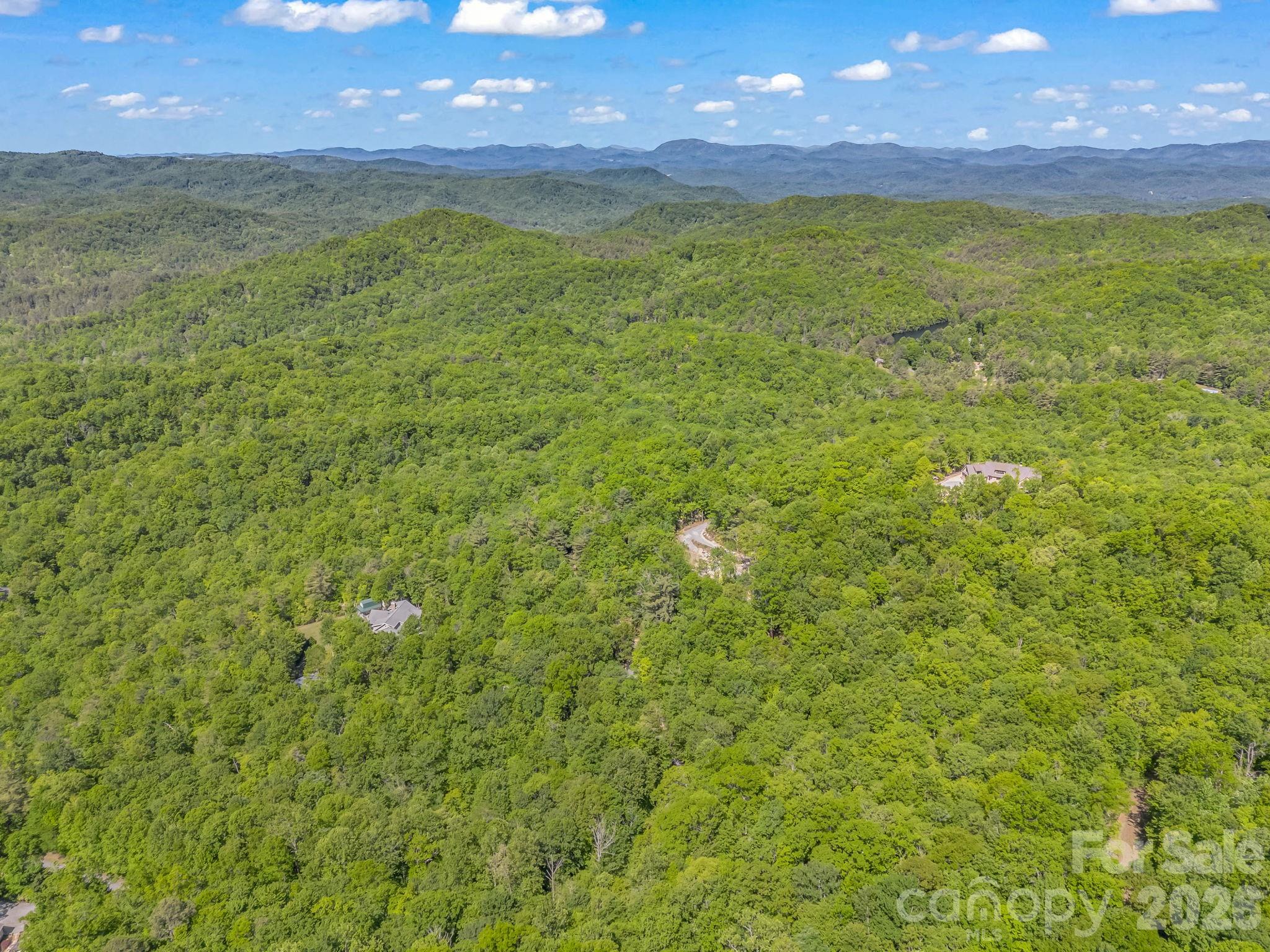 352 Big Hill Road Brevard, NC 28712 - Photo 13 of 31