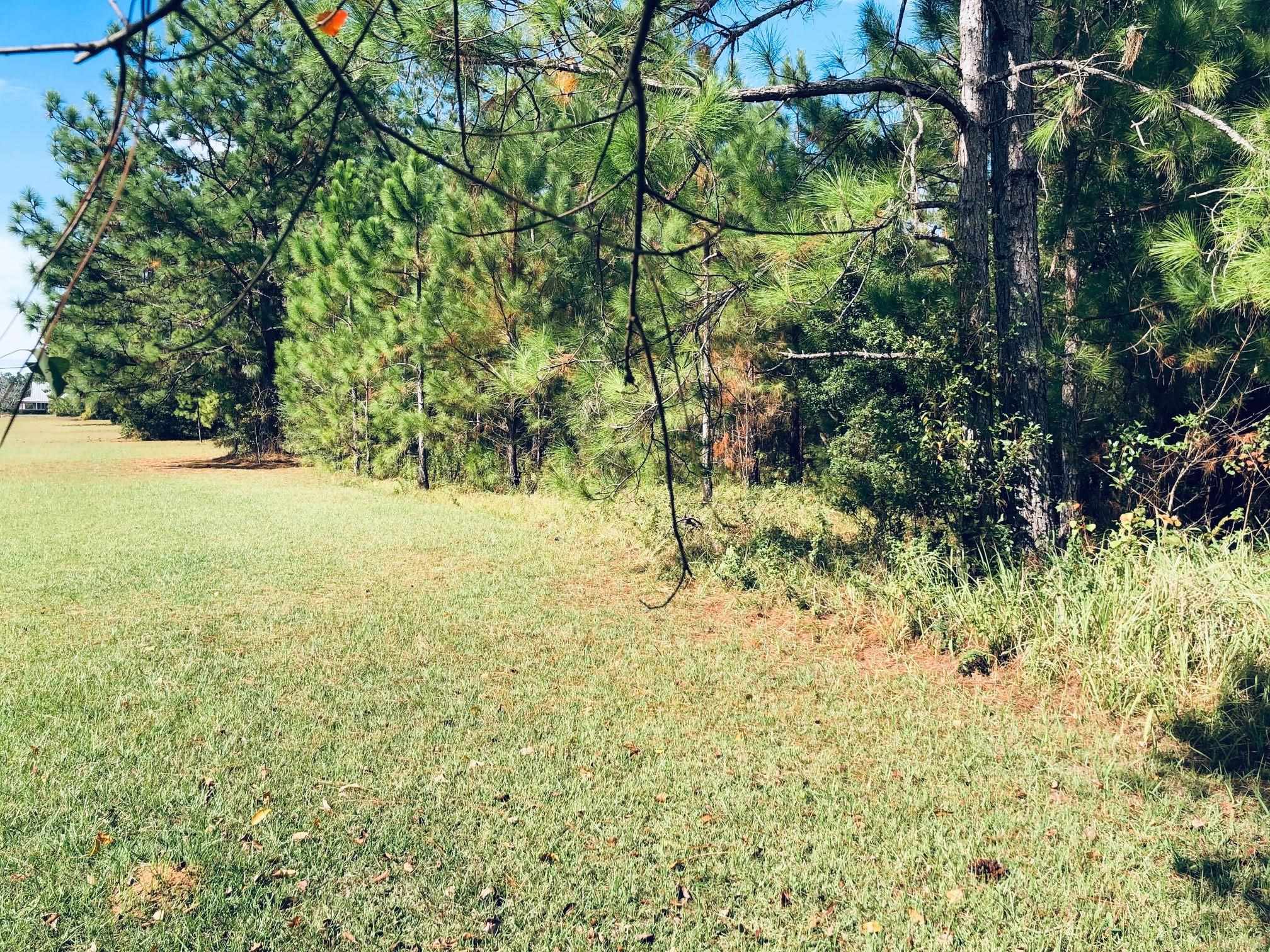 20950 Lacey Road Silverhill, AL 36576 - Photo 3 of 17