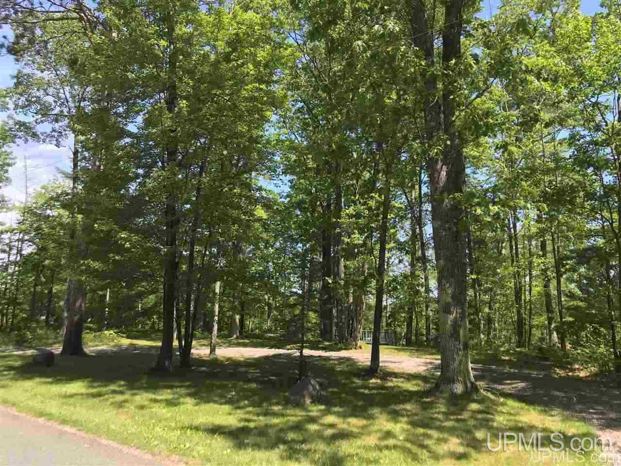 T-wi Lake Anna Road Florence, WI 54121 - Photo 10 of 13