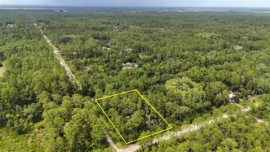 5446 Mango Avenue Bunnell, FL 32110 - Photo 8 of 17